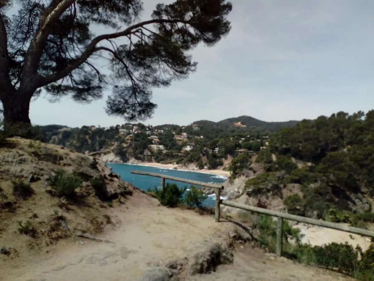Διαμέρισμα Apartamentos Cala Llevado Τόσα ντε Μαρ